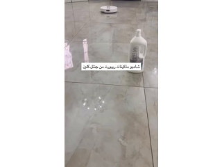 شامبو ريبورت