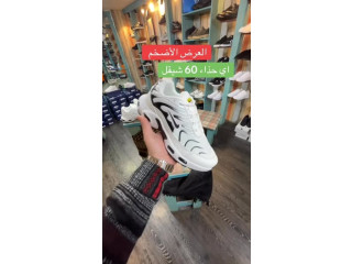 الحذاء