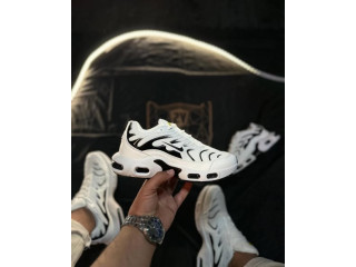 الحذاء