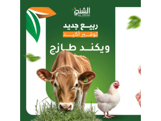 ويكنـــد طازج وبأقـــل الأسعــار